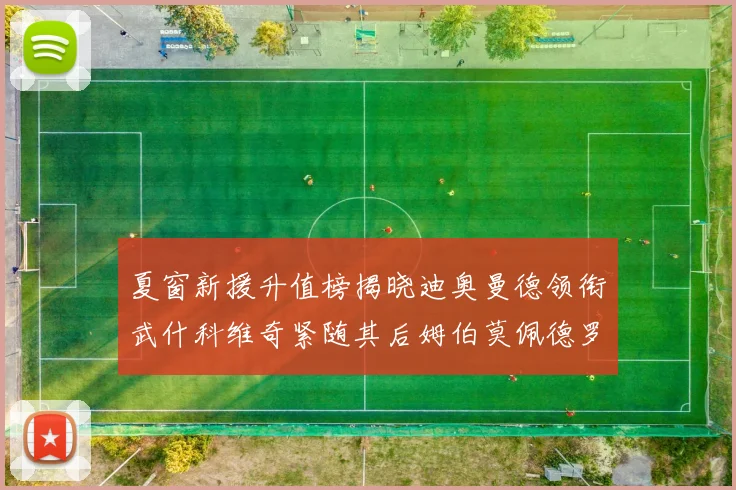 夏窗新援升值榜揭晓迪奥曼德领衔武什科维奇紧随其后姆伯莫佩德罗表现抢眼